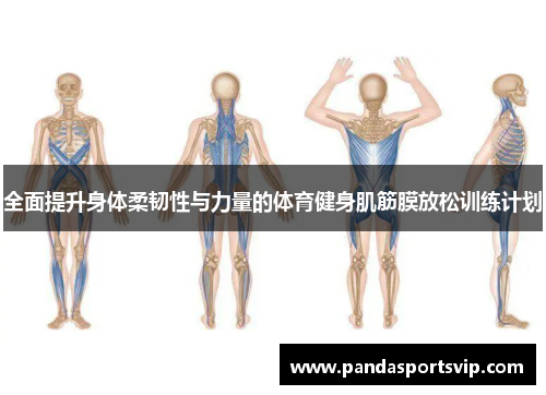 全面提升身体柔韧性与力量的体育健身肌筋膜放松训练计划